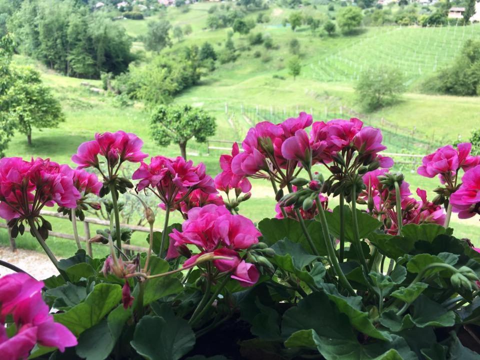 Agriturismo Al Capitello Villa Asolo Dış mekan fotoğraf