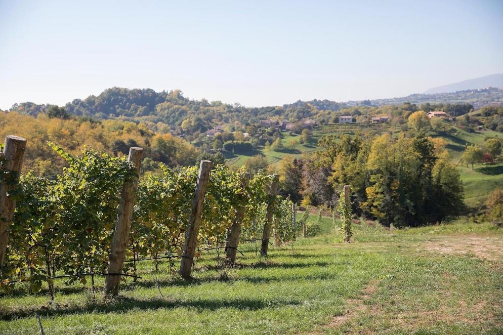 Agriturismo Al Capitello Villa Asolo Dış mekan fotoğraf